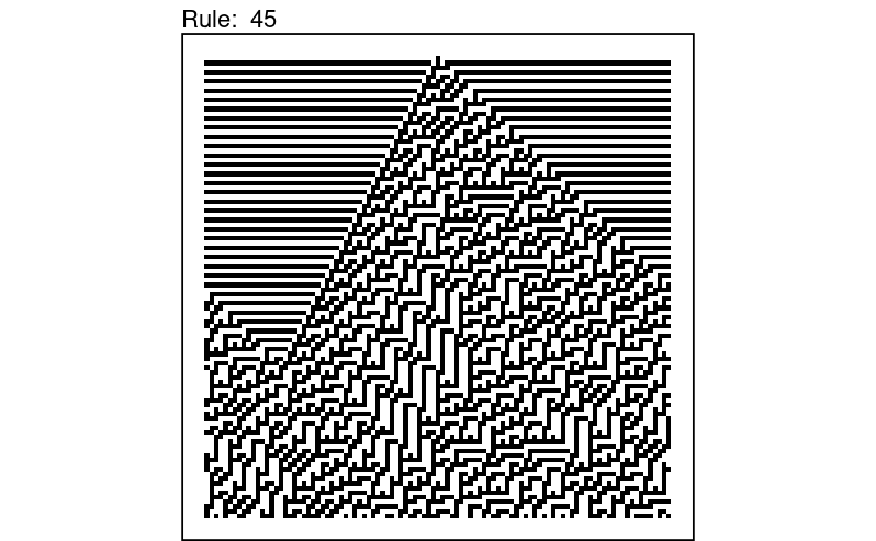 Rule 45