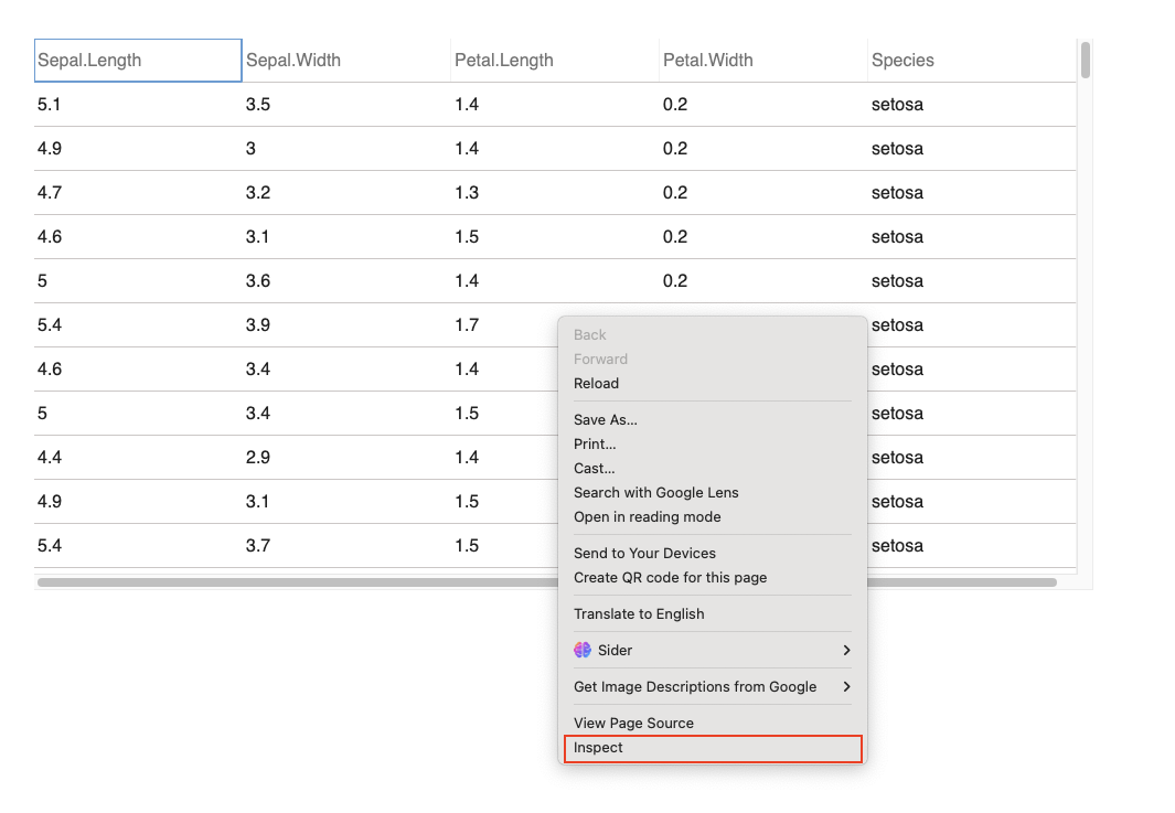 widget opened on the browser